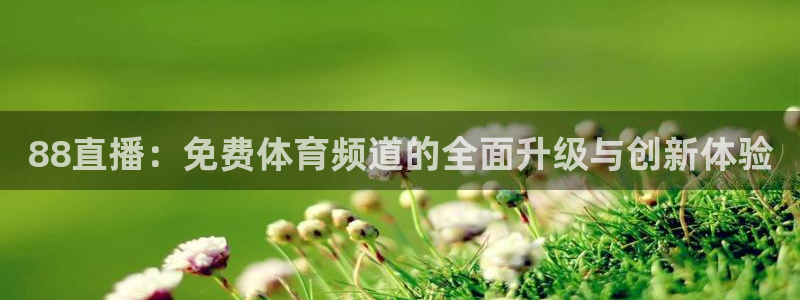 球球看绿茵：88直播：免费体育频道的全面升级与创新体验