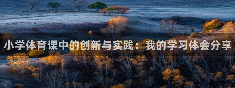 东京绿茵足球：小学体育课中的创新与实践：我的学习体会分享