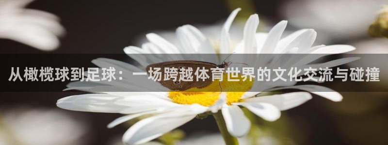 绿茵直播体育在线观看免费视频：从橄榄球到足球：一场跨越体育世界的文化交流与碰撞
