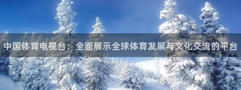 绿茵体育live直播：中国体育电视台：全面展示全球体育发展与文化交流的平台