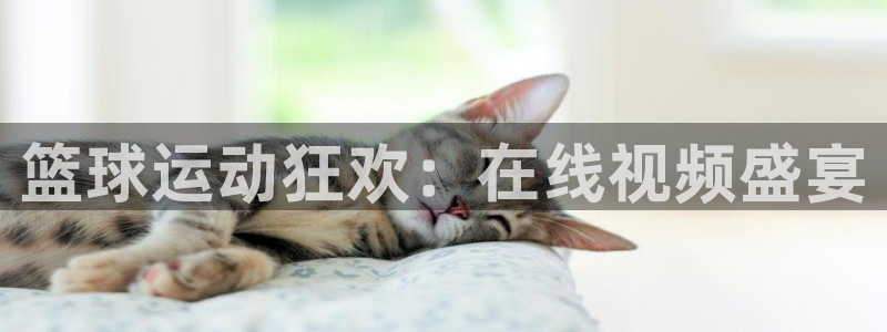 足球:无敌之全能绿茵巨星：篮球运动狂欢：在线视频盛宴