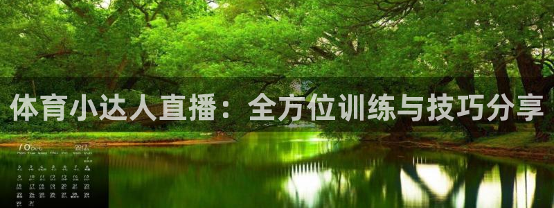 cba绿茵直播：体育小达人直播：全方位训练与技巧分享