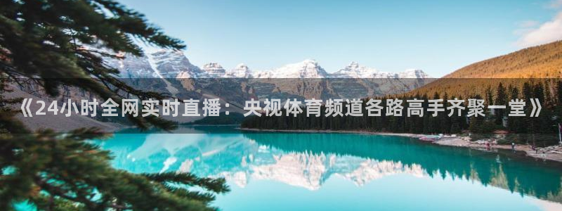 绿茵直播免费看球直播：《24小时全网实时直播：央视体育频道各路高手齐聚一堂》