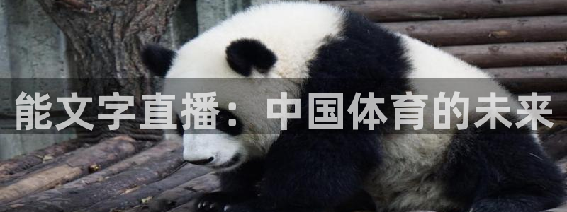 绿茵足球高清直播：能文字直播：中国体育的未来