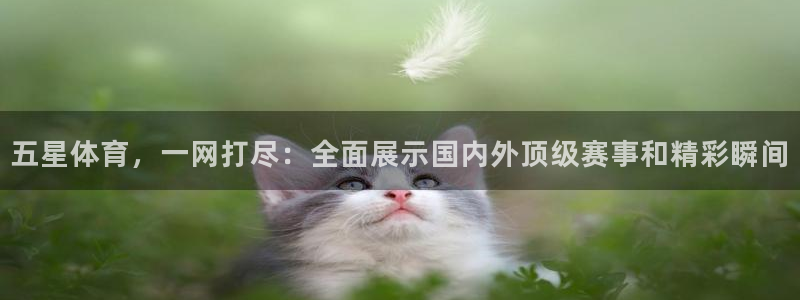 绿茵直播cba：五星体育，一网打尽：全面展示国内外顶级赛事和精彩瞬间