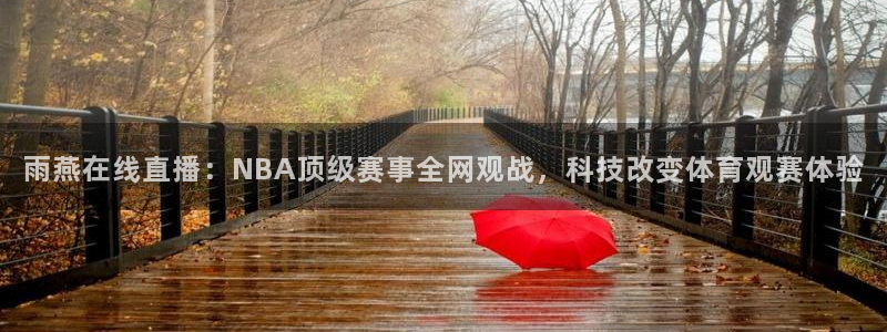 绿茵直播体育在线观看免费：雨燕在线直播：NBA顶级赛事全网观战，科技改变体育观赛体验