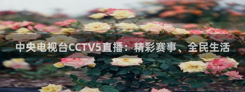 绿茵直播nba免费：中央电视台CCTV5直播：精彩赛事、全民生活